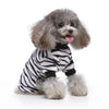 A small, fluffy gray dog wearing a black and white striped cozy winter outfit.