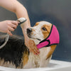 A person is applying a pink noise cancelling dog ear wrap to the ear of a dog.