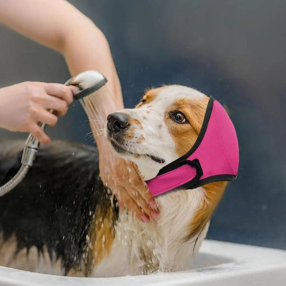 A person is applying a pink noise cancelling dog ear wrap to the ear of a dog.