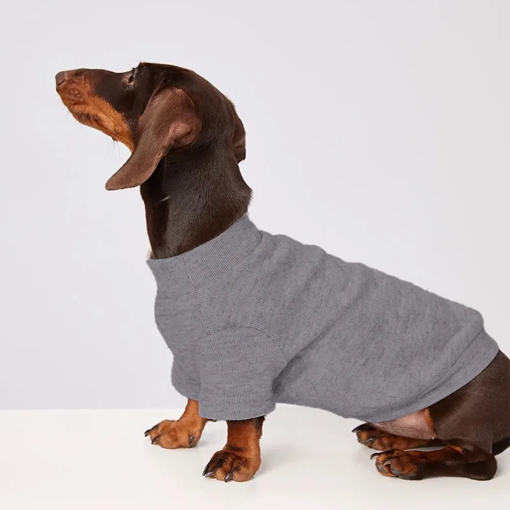 A brown and black dog wearing a gray cozy winter sweater.