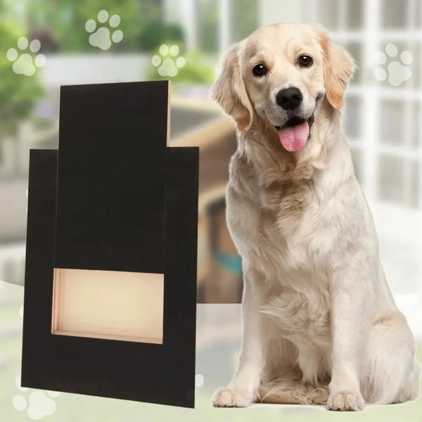 A light-colored dog is sitting next to a black wooden nail scratching board with a treat box.
