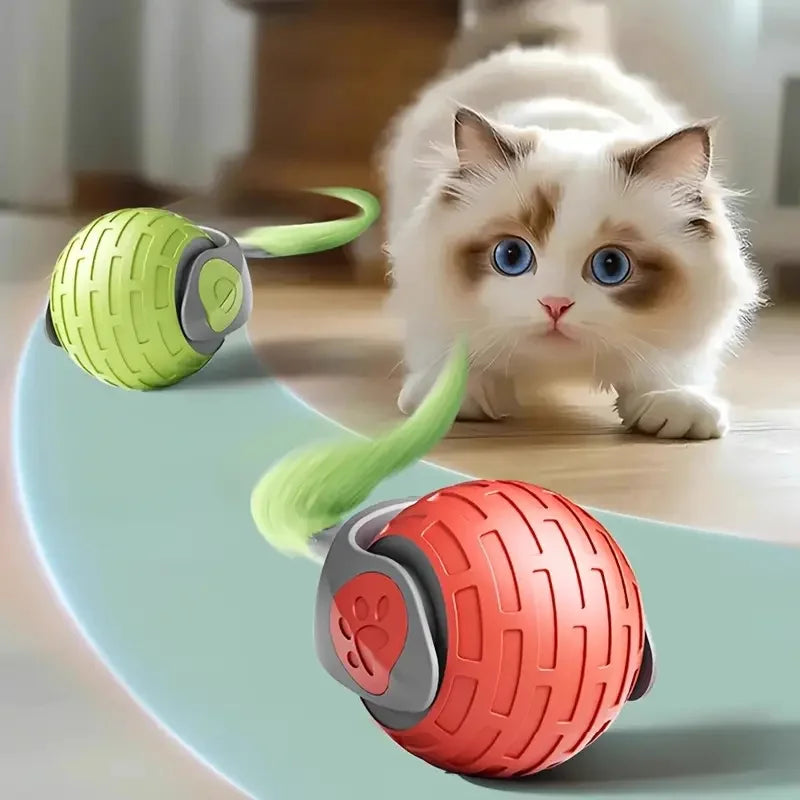 Ein flauschiger weißer Kater schaut auf eine grüne und eine orange Spielball für Haustiere auf einer hellblauen Oberfläche.