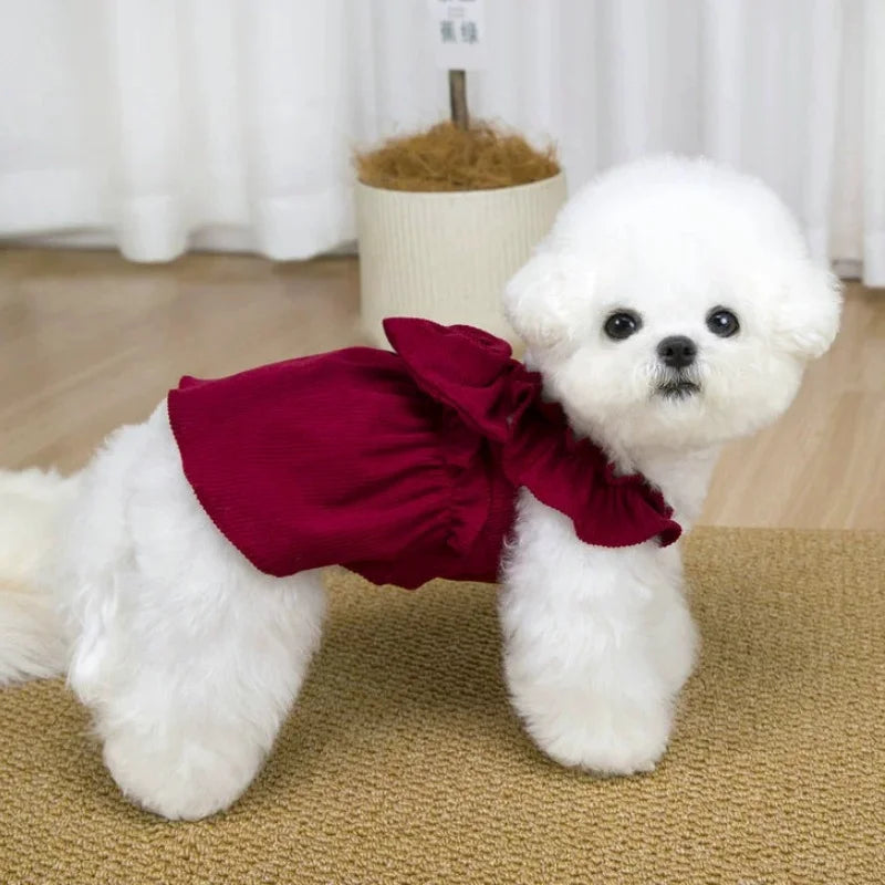 A fluffy white dog wearing a deep red vintage corduroy pet dress with a bow and ruffle skirt.