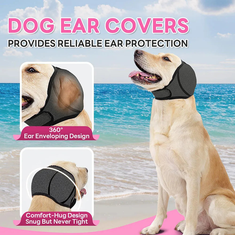 A golden retriever wearing a black dog ear cover, demonstrating the comfortable fit and protection of the product.