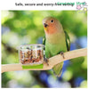 A small dove perches on a branch next to a clear plastic cup filled with bird seed.