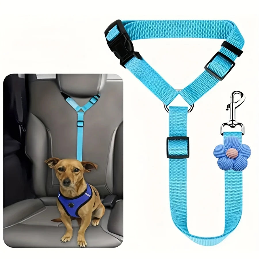 Harnais et laisse rembourrés pour chien, bleu et noir, avec attache de siège.