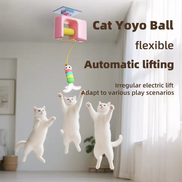 Eine weiße Katze wird von einem rosa automatischen elektrischen Spielzeug namens Cat Yoyo Ball gehoben.
