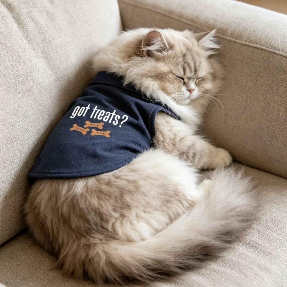A fluffy ginger and white cat wearing a navy blue pet polo vest, resting on a light-colored sofa.