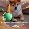 A fluffy Shiba Inu puppy looks at the camera while resting near a green silicone ball toy.