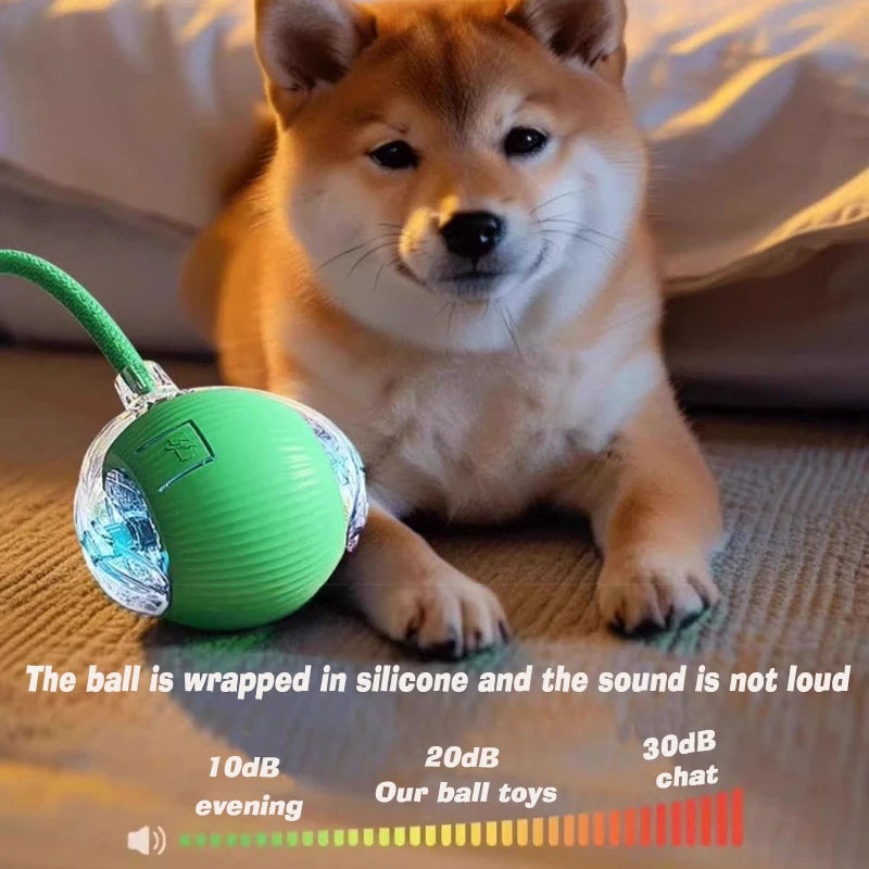 A fluffy Shiba Inu puppy looks at the camera while resting near a green silicone ball toy.