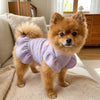 Un chien à l'abricot duveteux portant une robe lavande à manches flottantes froncées, debout à l'intérieur.