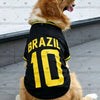 A golden retriever wearing a black and yellow football jersey vest with the number 10.
