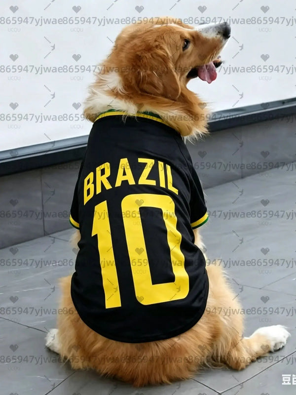 A golden retriever wearing a black and yellow football jersey vest with the number 10.