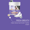 A jar of Pet Oral Care Wipes for dogs and cats with white wipes and a green lid.