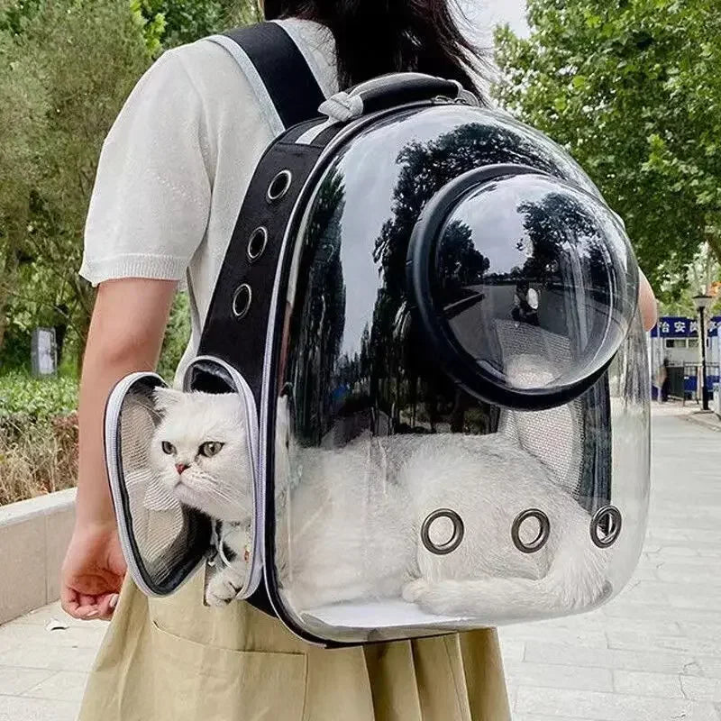 A person is carrying a transparent pet carrier backpack with a white cat inside on a city sidewalk.