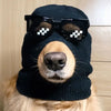 A dog wearing a black knitted mask accessory and black sunglasses with white checkered lenses.