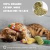 A tabby cat is interacting with a yellow organic catnip cactus toy set.