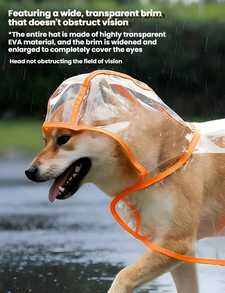 Un chien brun clair porte un imperméable transparent et clair sous la pluie.