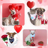 Three dogs wearing Valentine's Day dog bandanas with heart floral patterns sitting or posing.