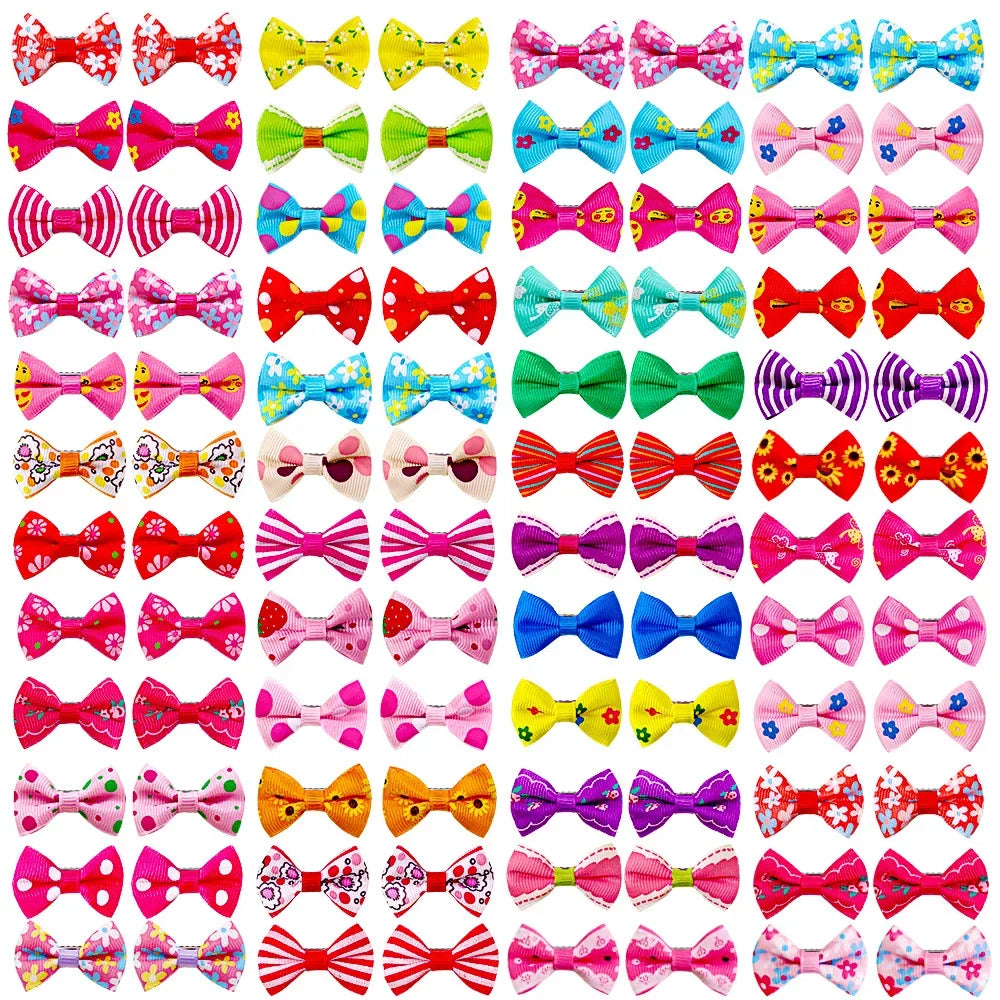 Variedad de clips y lazos de pelo coloridos para el aseo de perros y gatos