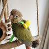 A small green parrot perched on a wooden branch, hanging from a natural fiber harness and leash set.