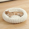 A fluffy orange tabby cat is resting inside a round, white, plush pet bed.