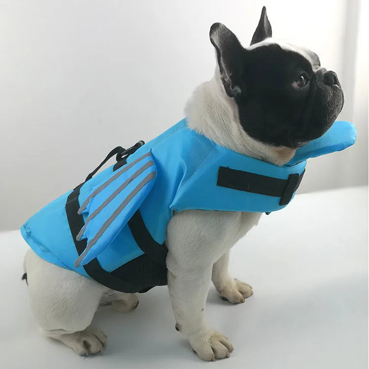 A light blue dog life jacket with black and gray accents is worn by a pug.