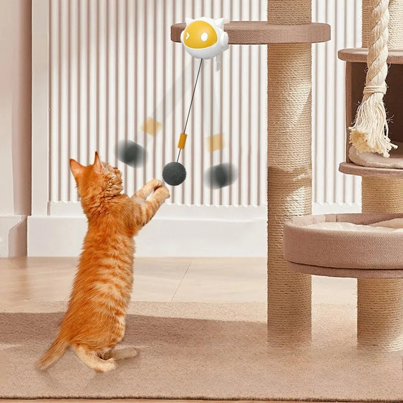 An orange tabby cat plays with an automatic lifting toy ball suspended from a wooden post.
