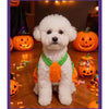 Un perro blanco esponjoso vistiendo un disfraz de calabaza de Halloween naranja sentado en un suelo de madera.