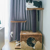 Eine schwarz-weiße Katze ruht auf einem selbstklebenden Kratzschutzteppich für Katzen, der an der Wand befestigt ist.
