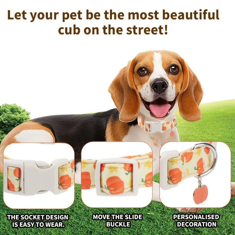 Un perro feliz vistiendo un collar decorativo de Halloween blanco para cachorros sobre césped verde.