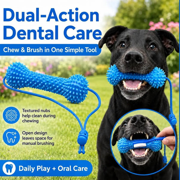 A black dog is shown using a blue dual-action dental care tool for chewing and brushing.