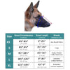 A close-up profile view of a brown dog's head showing the snout circumference and length measurements.