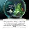 Un aquarium en verre montrant des poissons sains et des plantes aquatiques prospérant dans une eau purifiée.