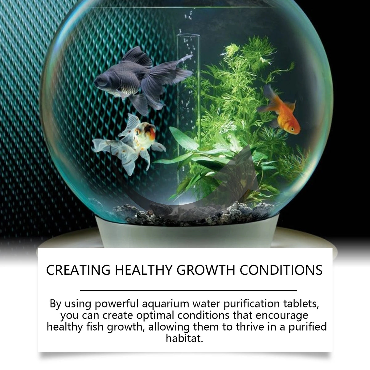 Un aquarium en verre montrant des poissons sains et des plantes aquatiques prospérant dans une eau purifiée.