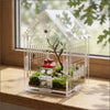 A clear acrylic terrarium housing a small landscape and a jumping spider.