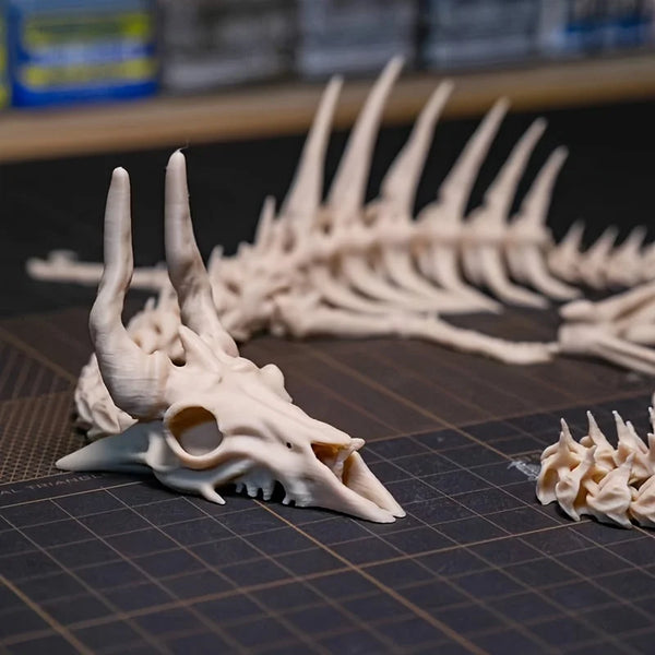 A white articulated dragon skeleton skull and jawbone displayed on a dark surface with a grid background.