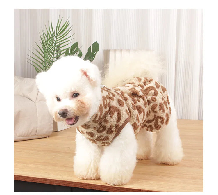 A fluffy white dog wearing a leopard print princess dress sitting on a wooden surface.
