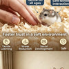A small gray rodent is interacting with natural wood chips bedding, demonstrating safe tactile learning and social developmen
