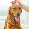 A golden-colored dog is being groomed with a red rubber brush on its head.