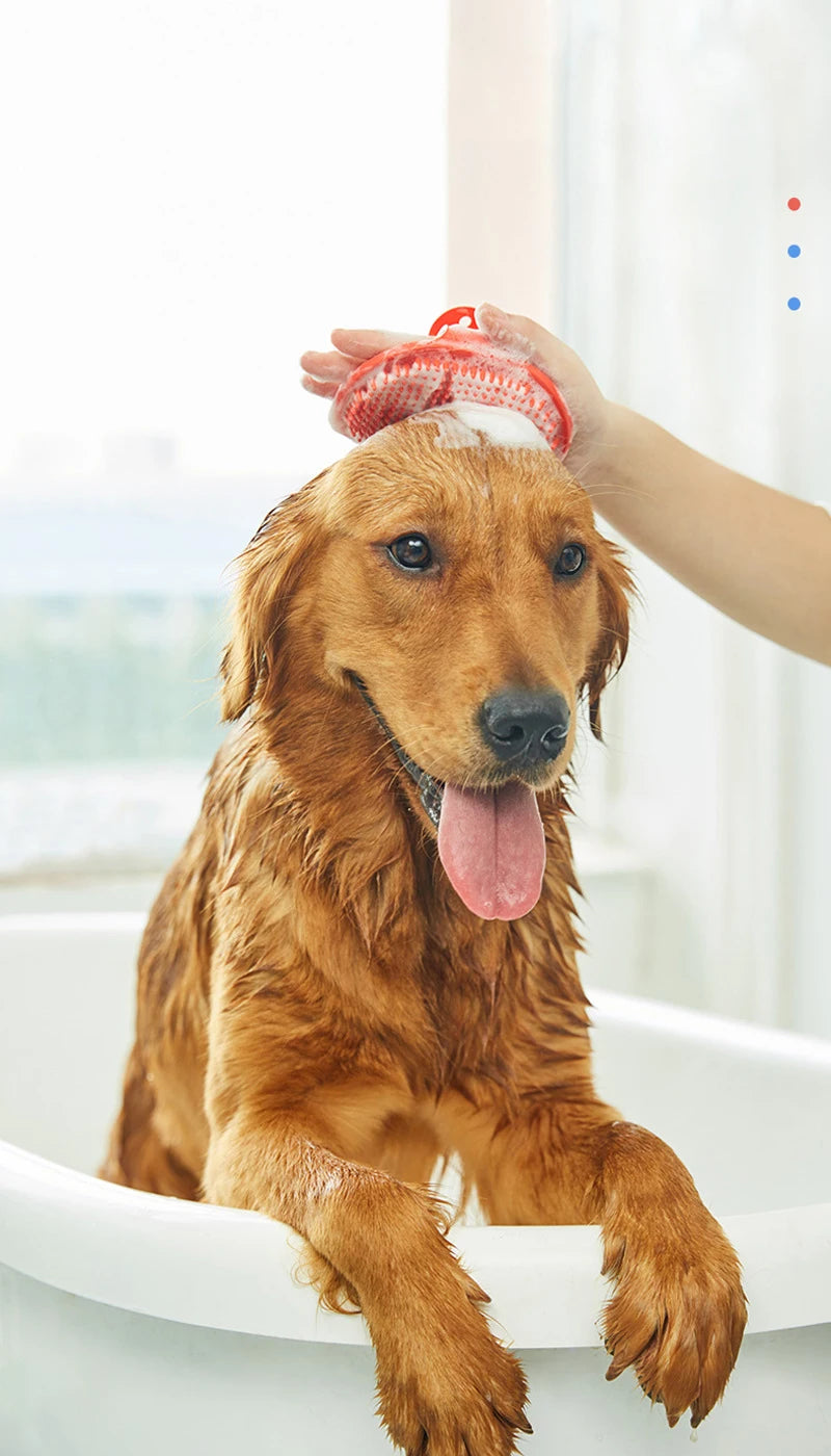 A golden-colored dog is being groomed with a red rubber brush on its head.