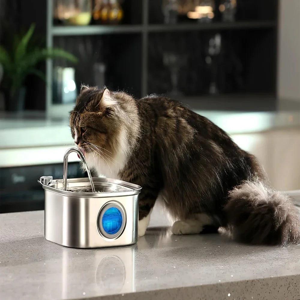 A tabby cat is drinking water from a stainless steel pet water fountain with a blue visual window.