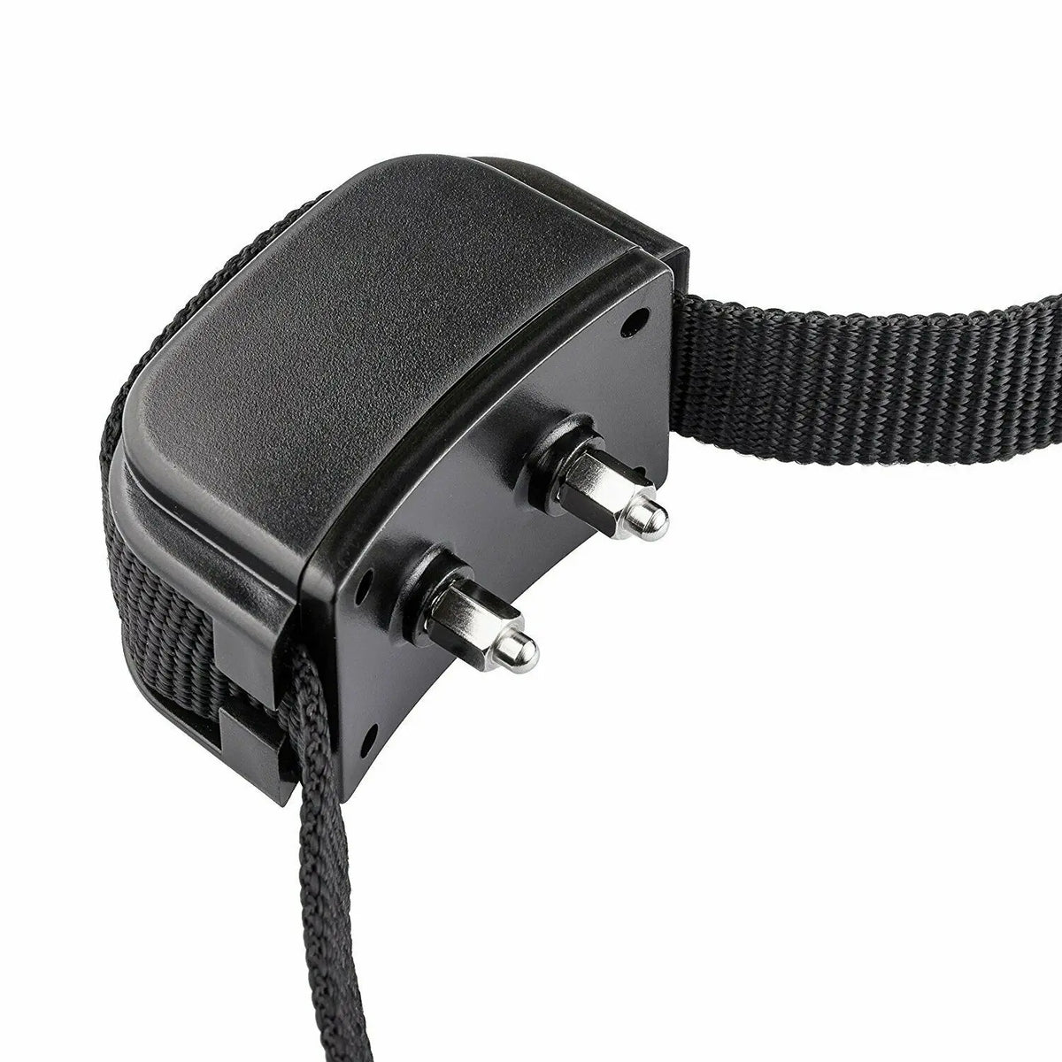 Black rechargeable dog training collar with a remote control attached and a nylon strap.