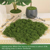 A pile of green preserved moss used for crafts and decoration, shown next to a potted plant.