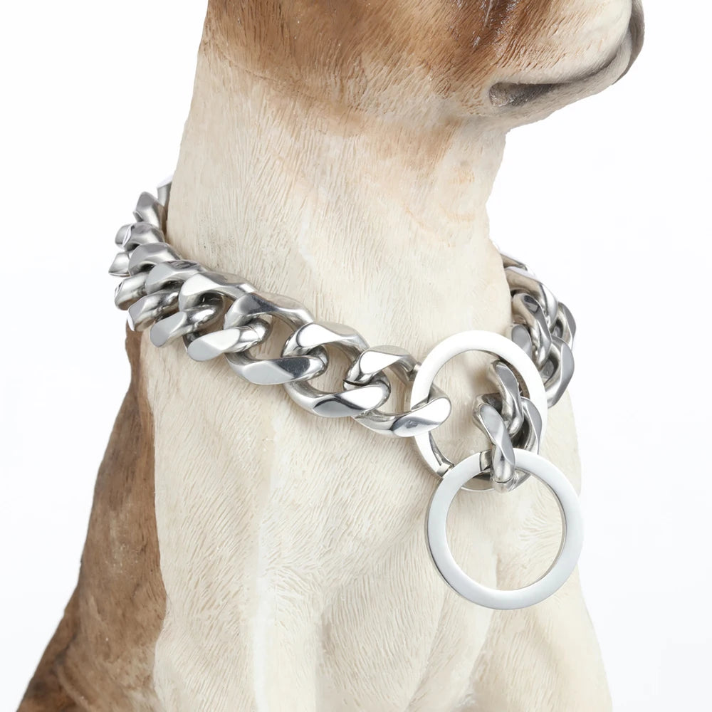 A close-up of a stainless steel Cuban link dog collar on a light-colored dog's neck.