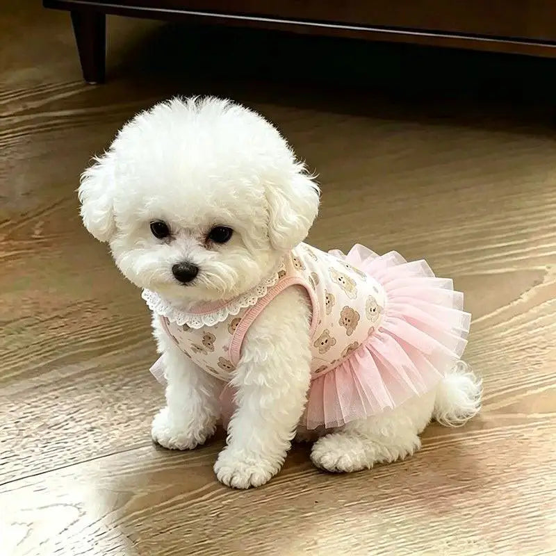 Ein flauschiger weißer Hund in einem rosa Blumenkleid sitzt auf einem Holzfußboden.
