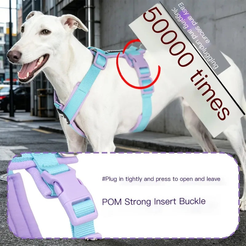 A white dog wearing a purple harness is shown outdoors, with a close-up of the POM Strong Insert Buckle.