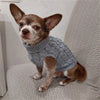 Un petit chiot brun portant un pull tricoté gris, assis sur une surface de tissu clair.
