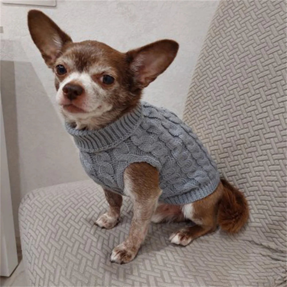 Un petit chiot brun portant un pull tricoté gris, assis sur une surface de tissu clair.