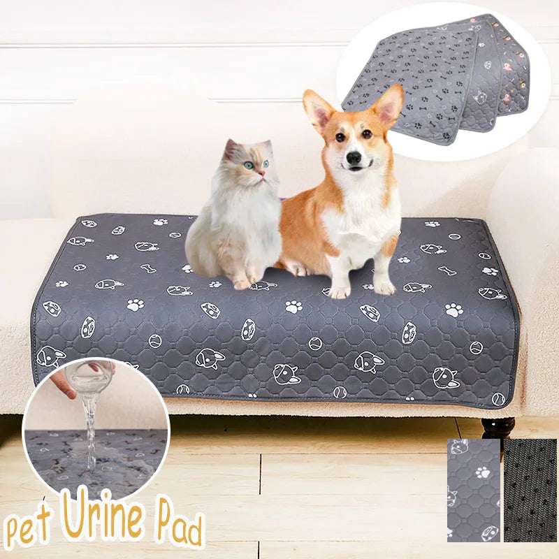 A fluffy dog and a cat sitting on a dark gray pet urine pad with paw print designs.